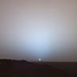 Meet your Posher, Nicholas